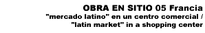 Obra en Sitio 05